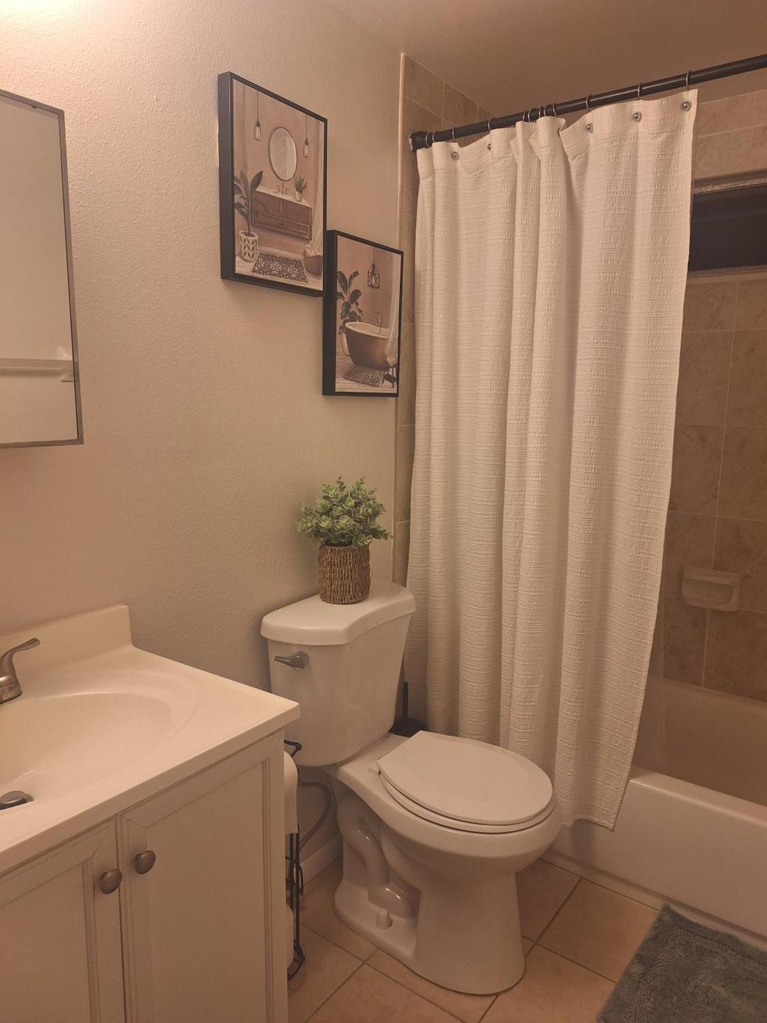 Noho Suite タンパ エクステリア 写真